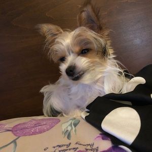 Meet your Posher, Yike